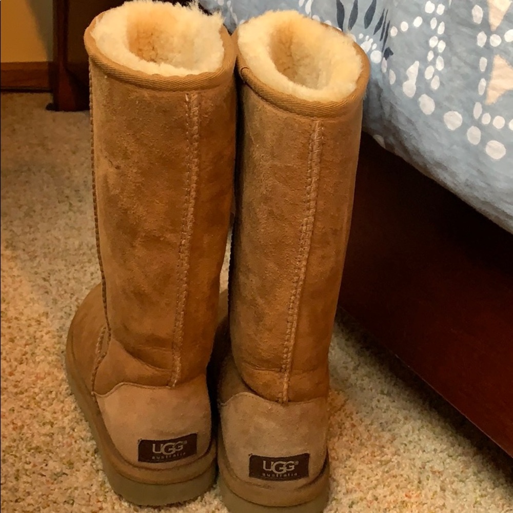 Chestnut Uggs Size US 6